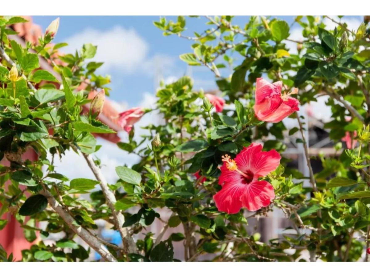 Hotel Pescatore Okinawa - Vacation Stay 20882V Naha Bagian luar foto