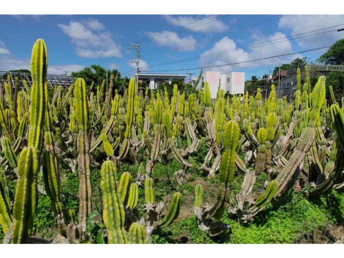 Hotel Pescatore Okinawa - Vacation Stay 20882V Naha Bagian luar foto